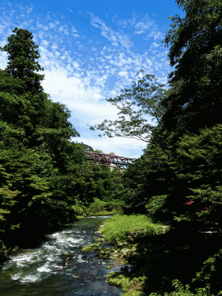 A red truss bridge above the forested Kakusenkei Gorge and its river near Kaga Onsen