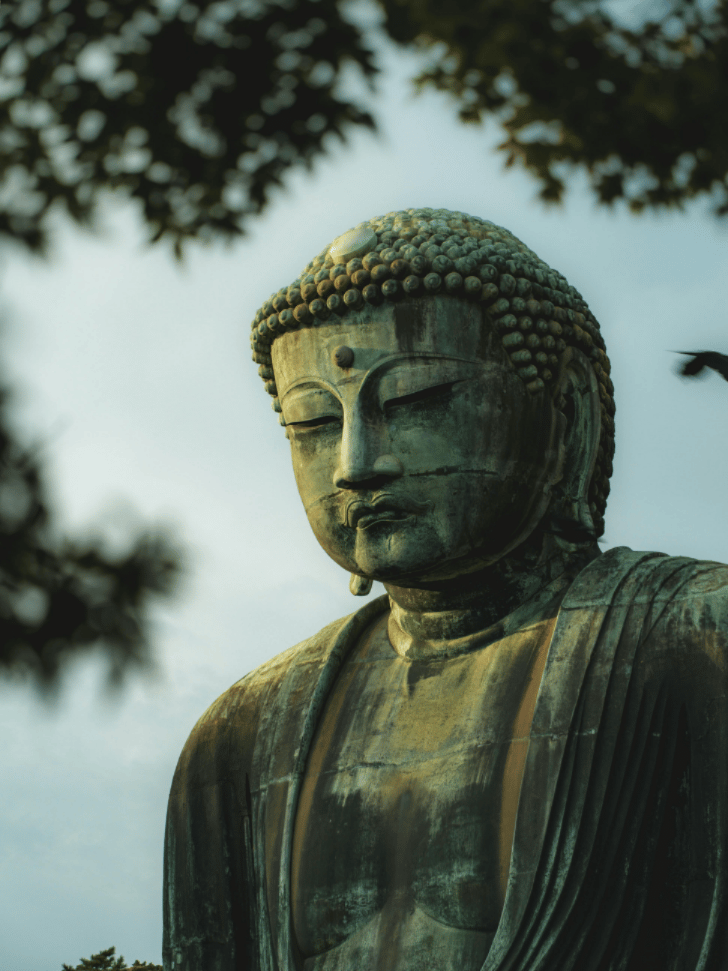 Close-up of the Great Buddha of Kamakura's face and shoulders framed by leaves