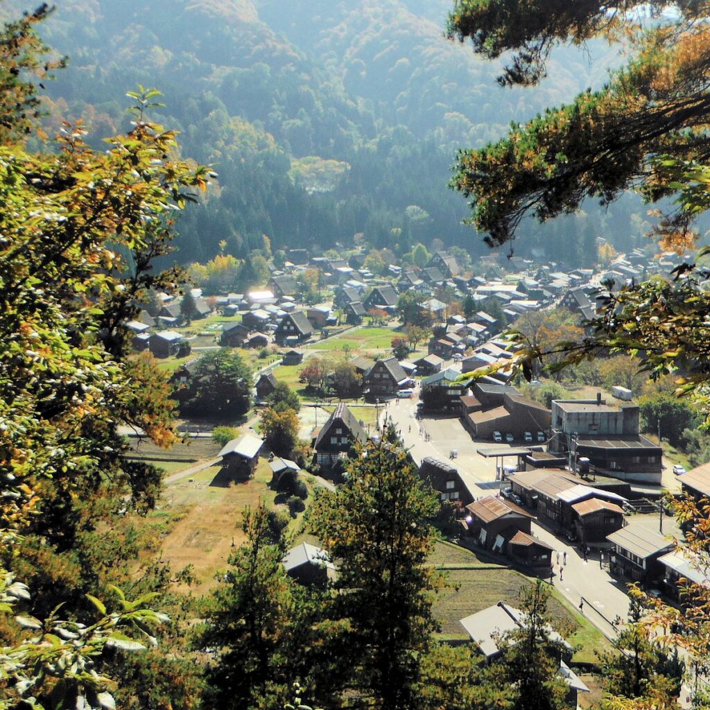 View over Ogimachi village and its thatched roofs from the Shiroyama observation deck, framed by trees