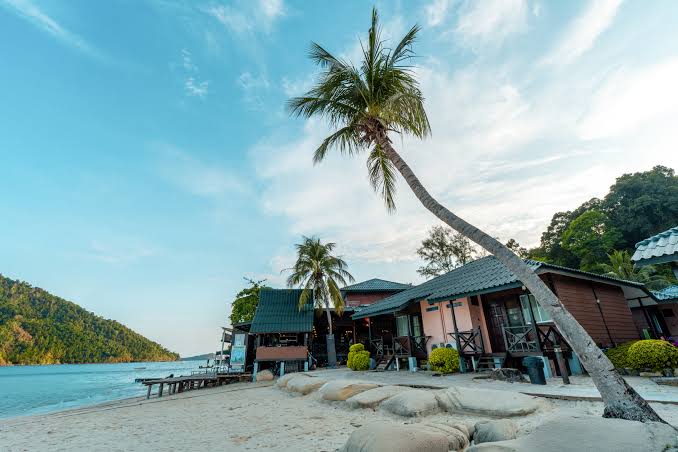 Green-roofed beachfront chalets beneath a leaning coconut palm on a calm Perhentian beach