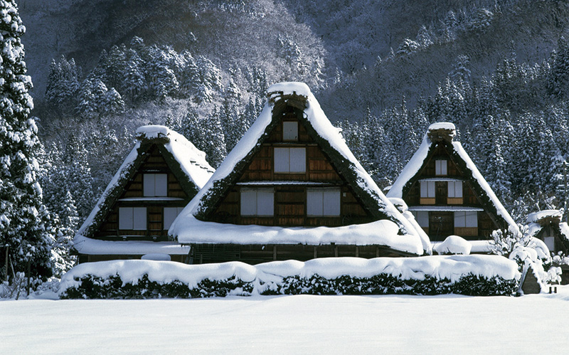 Three snow-covered gassho-zukuri houses standing side by side in winter