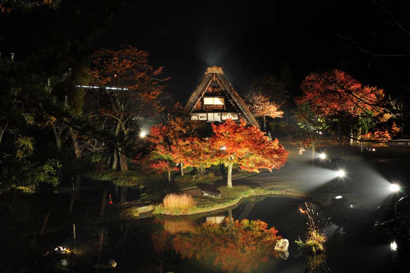 A gassho-zukuri house lit up at night among autumn maples and reflected in a pond