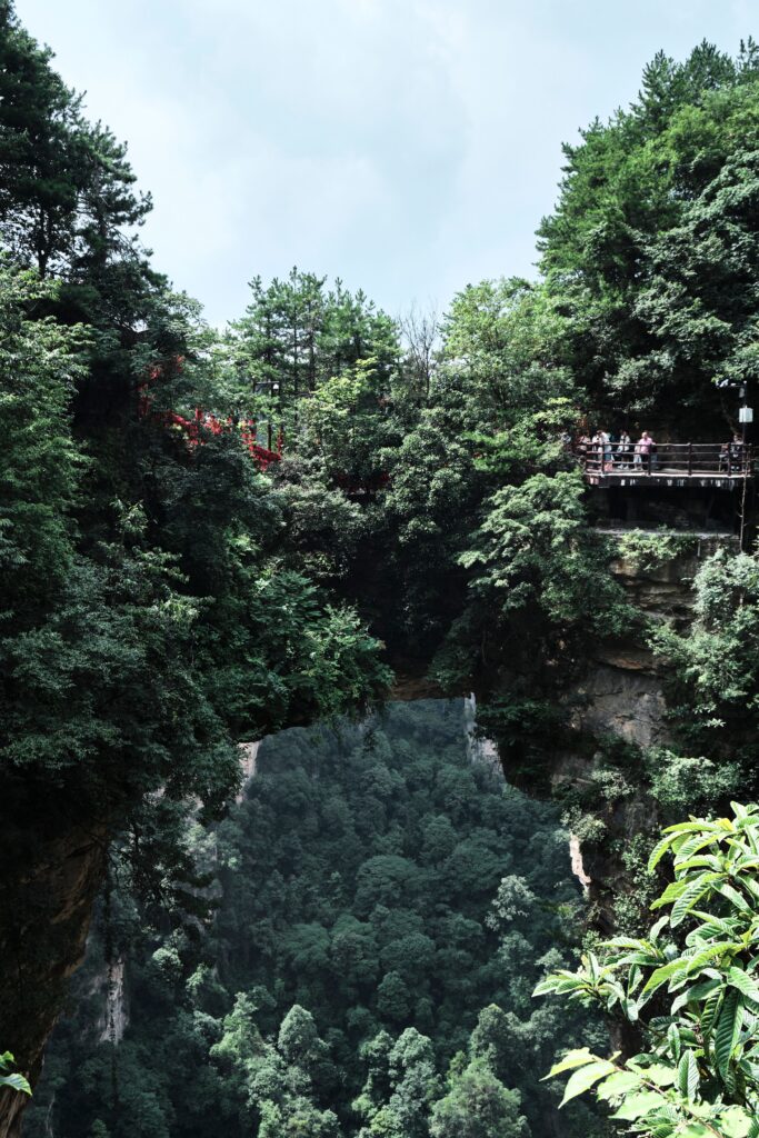 Natural stone arch bridging two forested cliffs with a viewing platform above