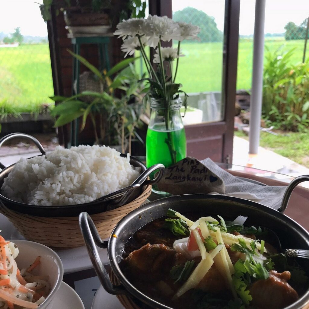 Chicken curry and rice by a window overlooking green rice fields at a Langkawi restaurant