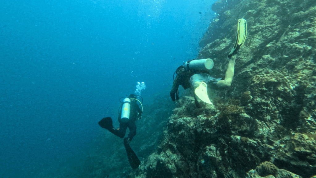Two scuba divers descending alongside a rocky coral reef wall in deep blue water