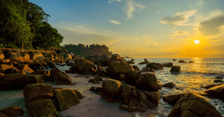 Moss-covered boulders on a tropical beach glowing under a golden sunset