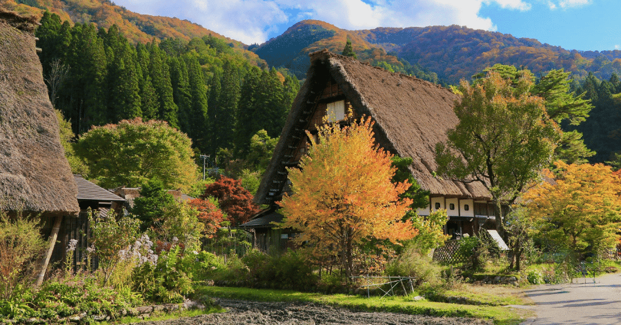 Gassho-zukuri farmhouses framed by orange and yellow autumn foliage under a blue sky