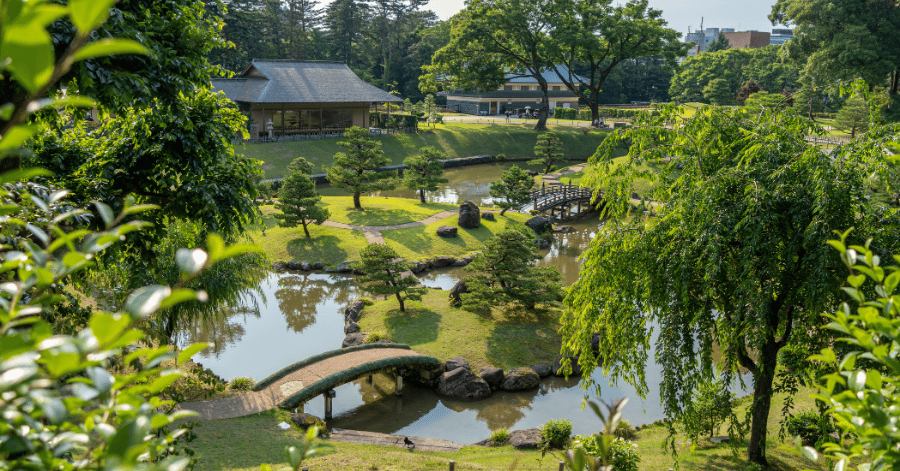 Lush green Japanese garden with ponds, arched bridges and pruned pines in Kanazawa