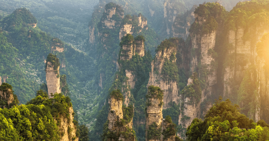 Sunlit sandstone pillars and forested cliffs in Zhangjiajie's Wulingyuan