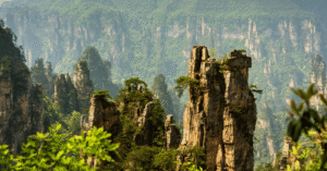 Tree-topped quartz-sandstone pillars rising from green forest in Zhangjiajie