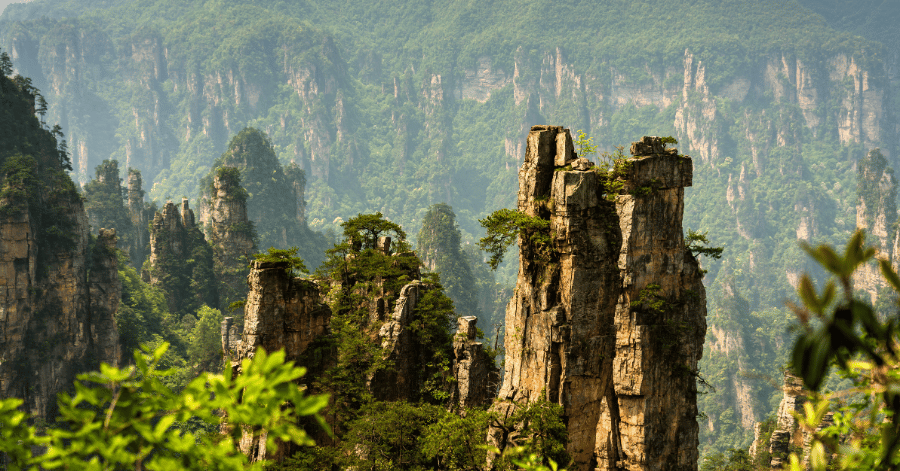 Tree-topped quartz-sandstone pillars rising from green forest in Zhangjiajie