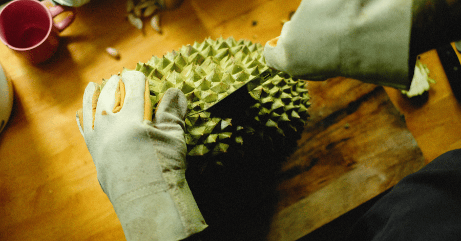 Gloved hands prying open a spiky durian husk on a wooden table