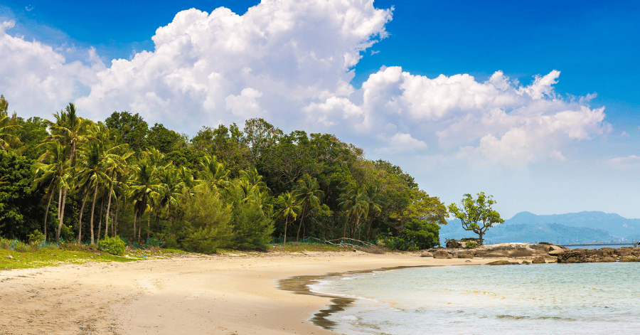 Quiet palm-fringed sandy beach and calm sea under blue skies in Langkawi