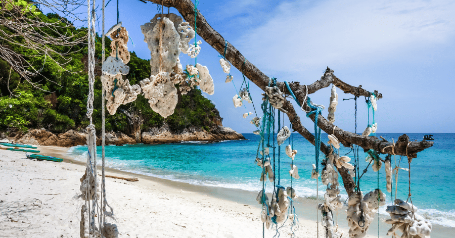 White coral pieces strung on a bleached tree branch on a white-sand Perhentian beach beside turquoise water