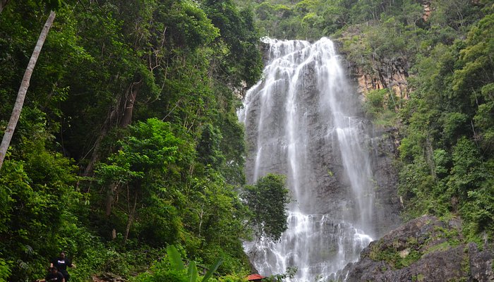 Temurun Waterfall dropping down a tall jungle cliff, Langkawi