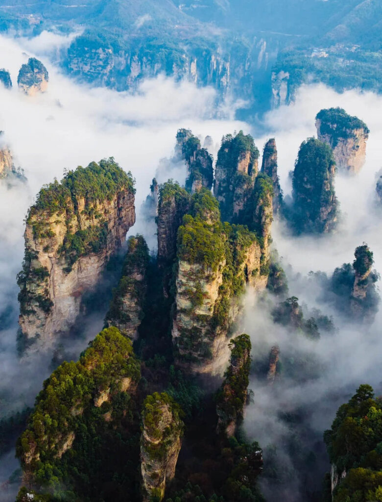 Forested sandstone pillars rising through morning cloud at Yuanjiajie