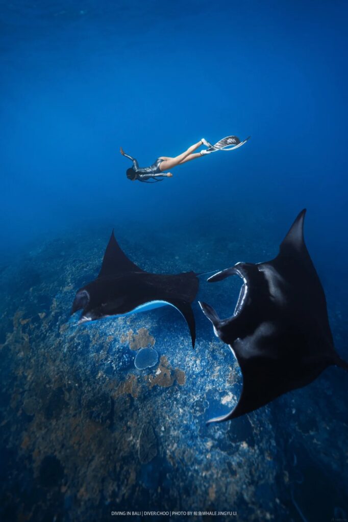 A freediver gliding above two manta rays over the reef at Manta Bay, Nusa Penida