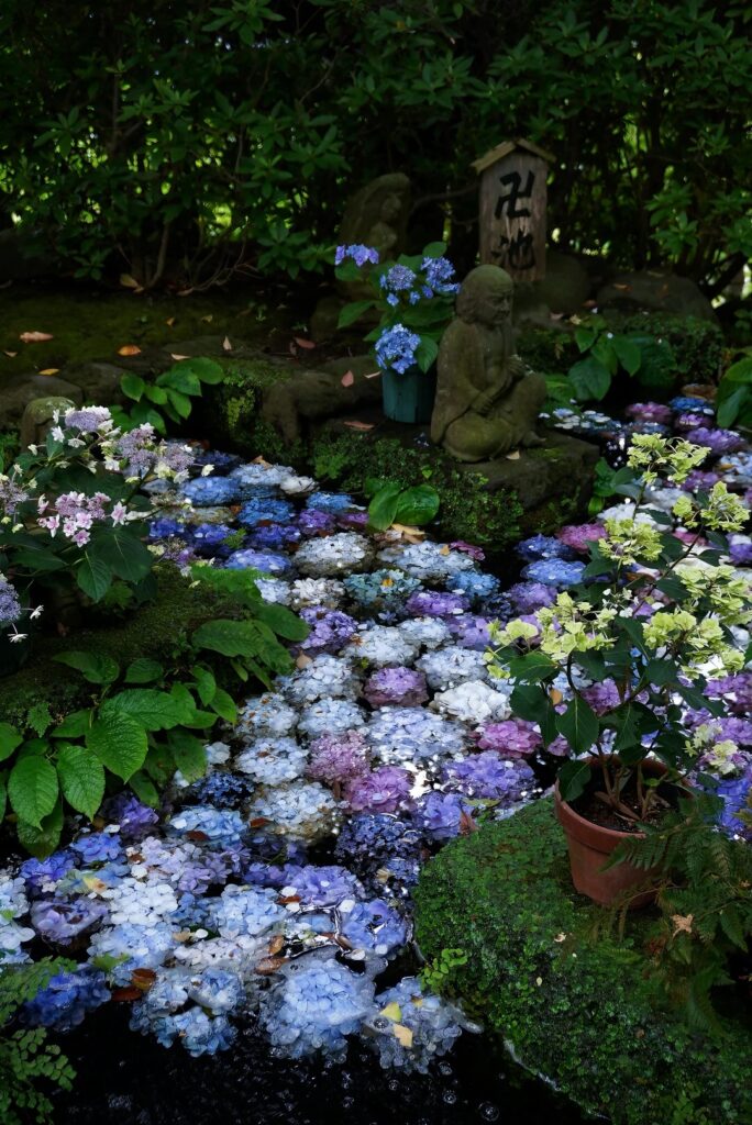 Blue and purple hydrangeas floating in a stone basin with a small Jizo at Meigetsu-in, Kamakura