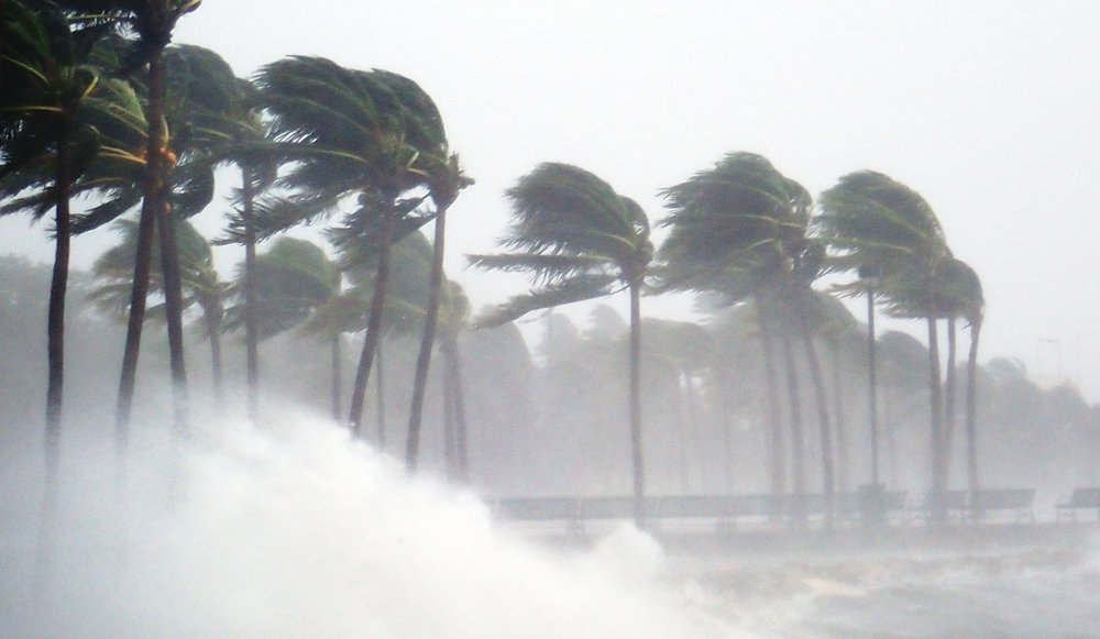 Palm trees bent sideways in heavy wind as storm surf breaks across a seafront