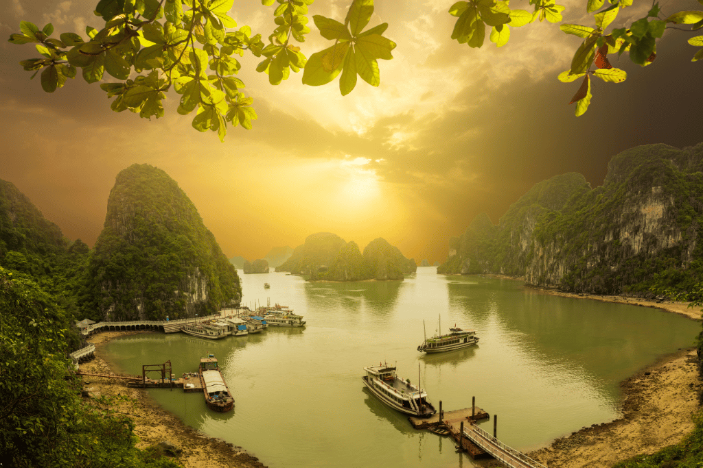 Ha Long Bay at golden hour, tour boats moored at a jetty below forested limestone cliffs