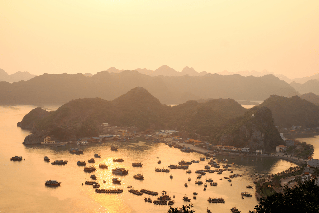 Golden light over Cat Ba town harbour, packed with fishing boats below green hills