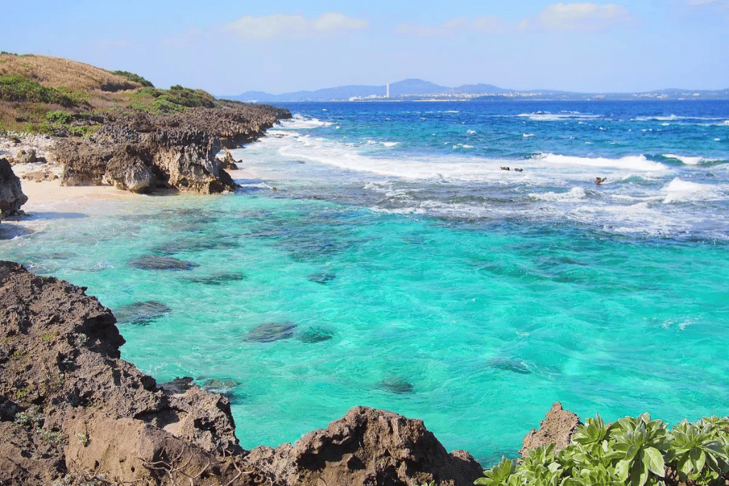 Waves breaking over reef beside a rugged limestone shore and clear turquoise shallows