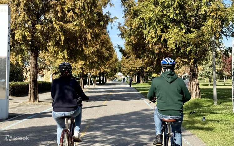 Two helmeted cyclists riding away down a wide path lined with autumn metasequoia trees