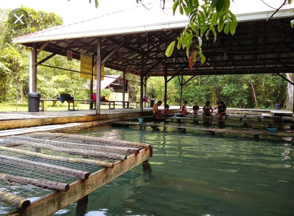 Covered open-air hot spring pools with timber decking and bathers soaking at the edge