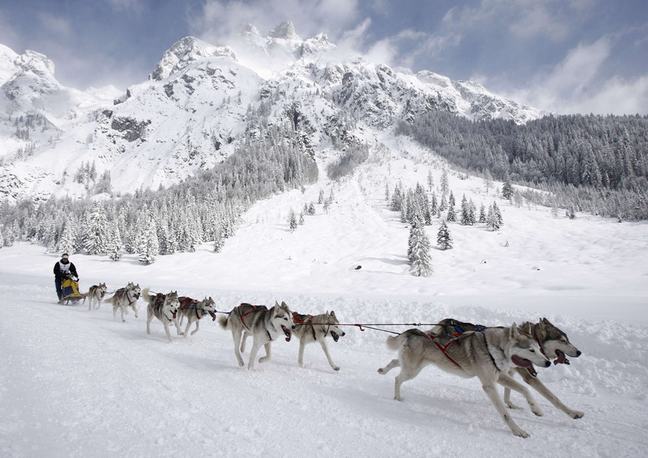 A team of huskies pulling a sled across snow with snow-covered mountains behind