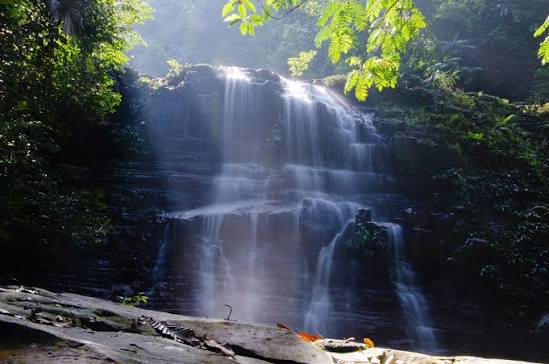 Wide tiered waterfall spilling over dark rock into a pool surrounded by rainforest
