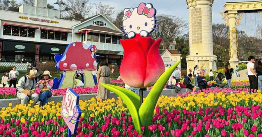 Giant tulip sculpture and a Hello Kitty figure above beds of red and yellow tulips