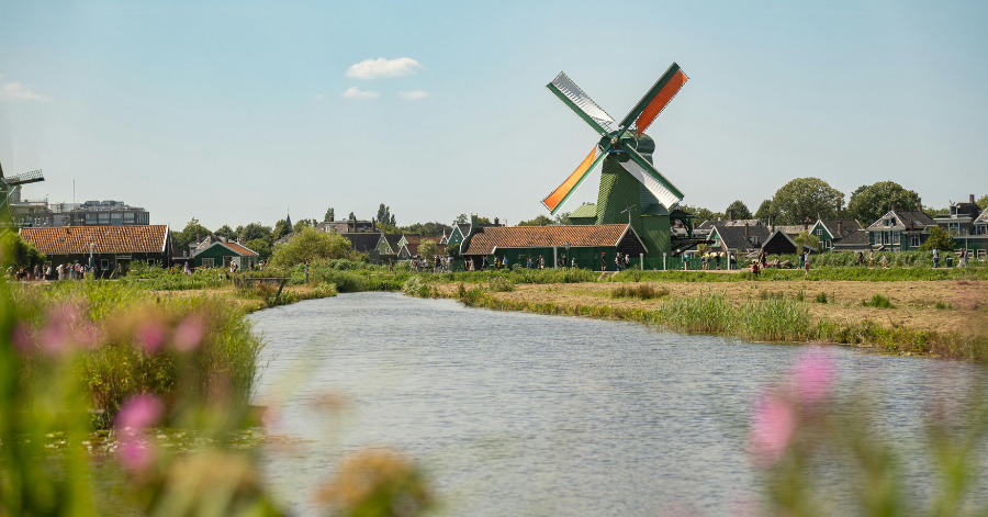 A green wooden windmill and traditional Dutch houses beside a canal, wildflowers in the foreground