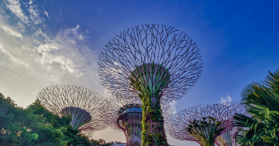Supertree Grove at Gardens by the Bay in Singapore against a bright blue sky