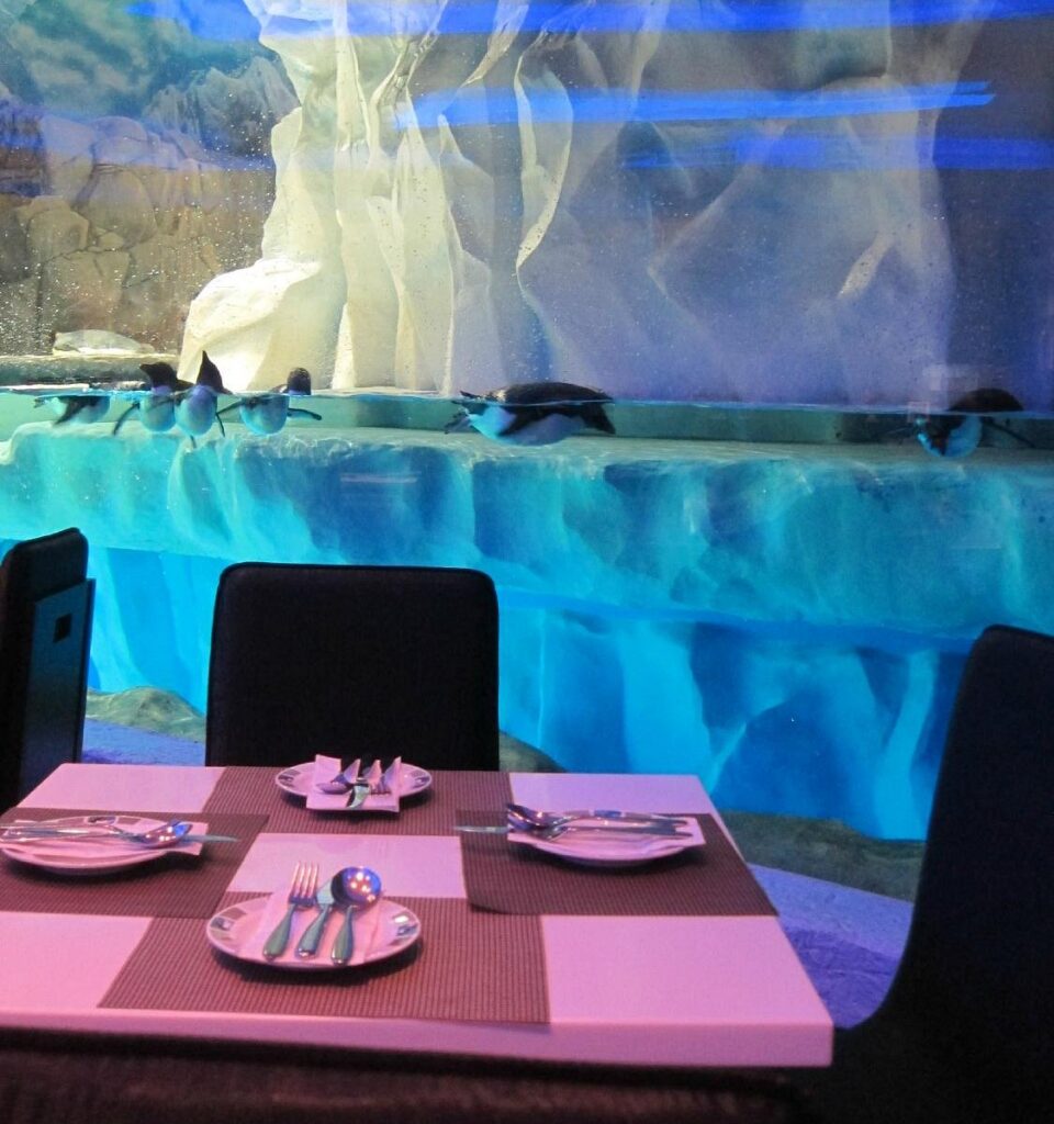 A set dining table in front of a glass wall with penguins on ice at Tuxedos restaurant