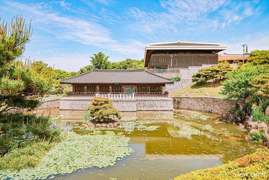 Hanok pavilion and lily-covered pond in the grounds of the Gyeongju National Museum