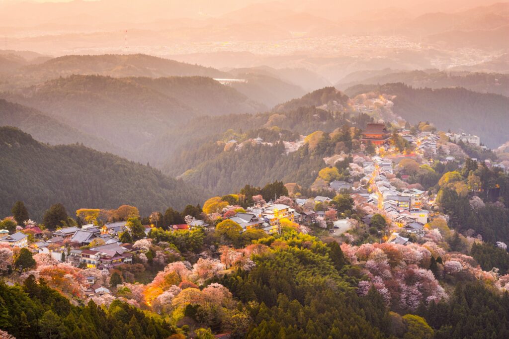 Mount Yoshino's hillside village blanketed in cherry blossoms at dusk