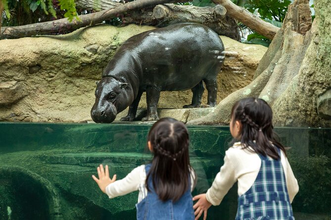 Two children watching a pygmy hippo through glass at Kobe Animal Kingdom