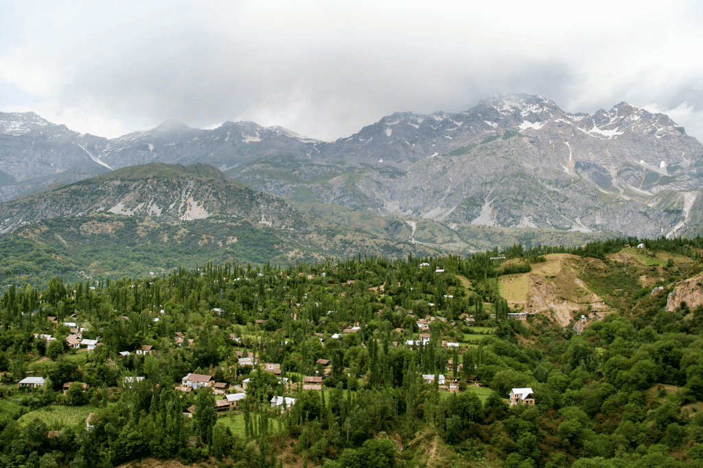 Dense walnut trees covering the hills of the Arslanbob forest