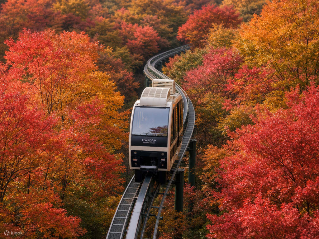 The Hwadam Botanic Garden monorail winding through red and orange autumn trees