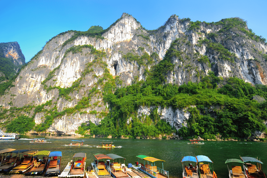 Rows of bamboo tour rafts moored on the Li River beneath a sheer limestone cliff