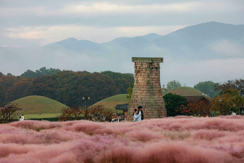 Cheomseongdae observatory behind a field of pink muhly grass, with burial mounds and misty hills