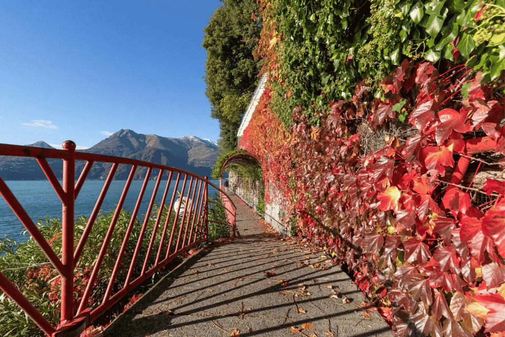 Red railing and ivy-covered wall along Varenna's Walk of Lovers path