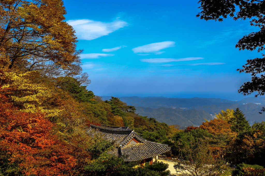 Tiled temple roof on the wooded slopes of Tohamsan, with autumn colour and hills running to the coast