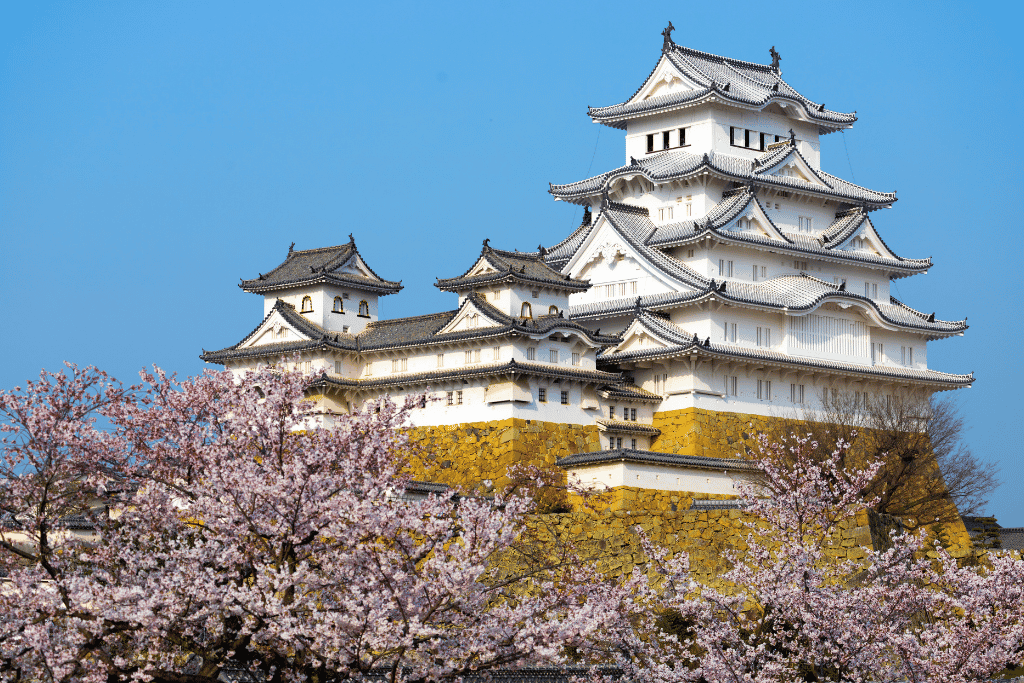 Himeji Castle's white keep rising behind blossoming cherry trees