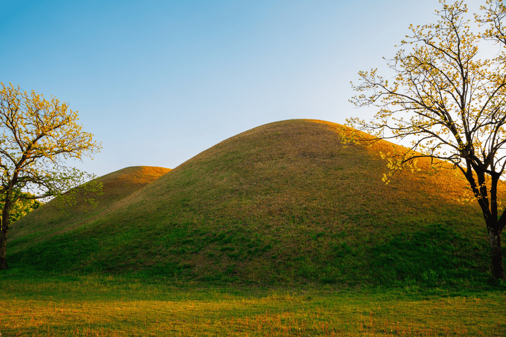 Grass-covered Silla burial mounds at Daereungwon catching low evening light