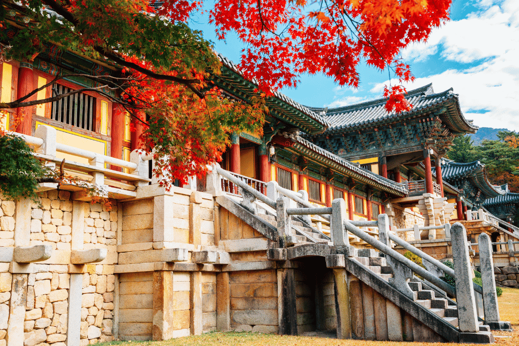 Bulguksa Temple's stone terraces and twin staircases below bright red maple leaves