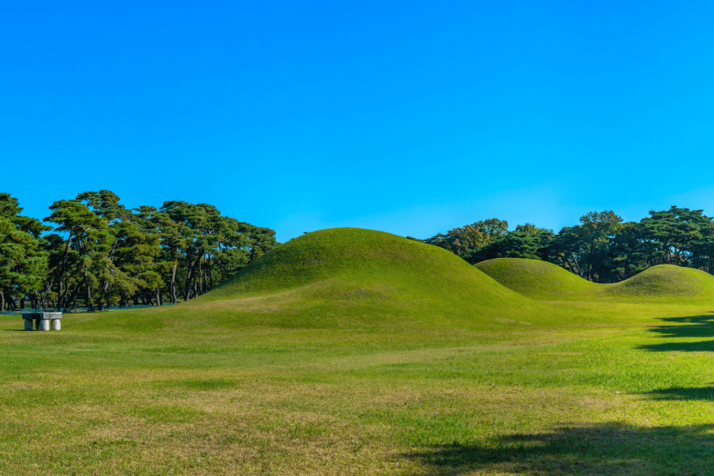 Grass burial mounds and a pine grove under a clear sky at the Oreung Royal Tombs