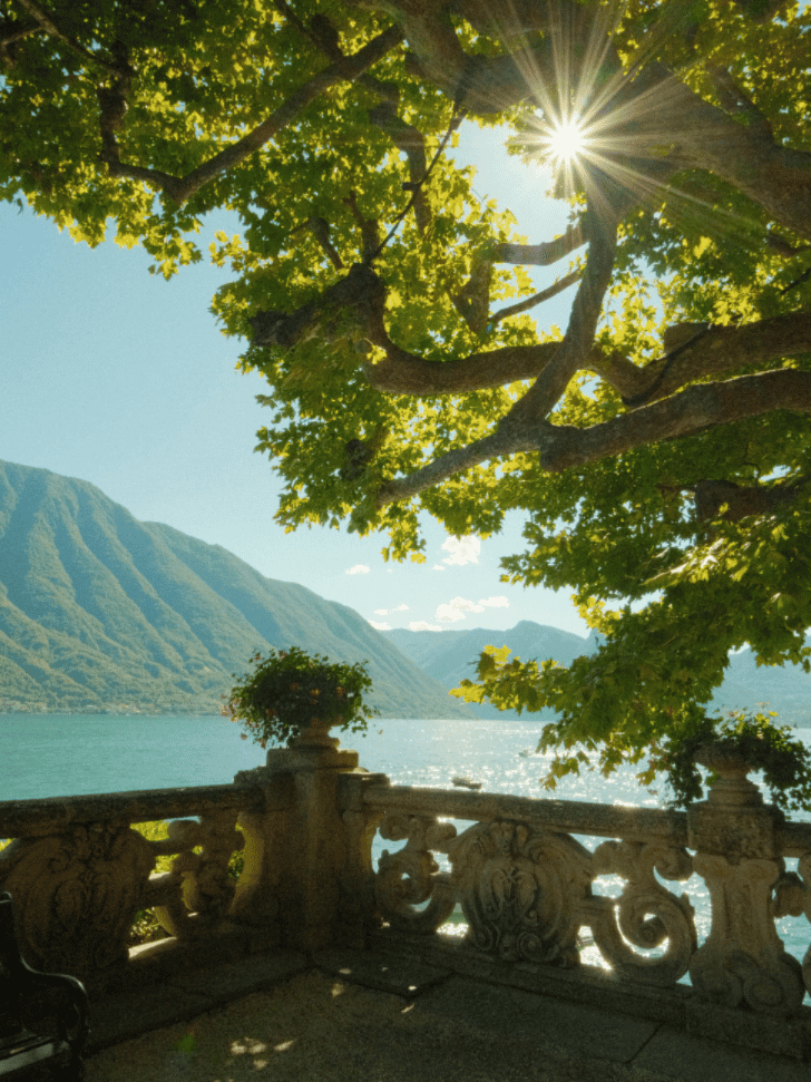 Sunlit tree branches framing a stone balustrade above Lake Como