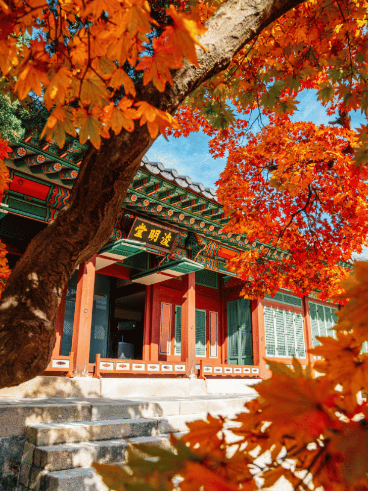 Red maple branches framing a traditional Korean palace pavilion with a hanja signboard