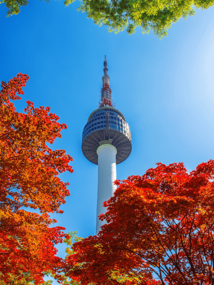 N Seoul Tower rising above red maple leaves on Namsan against a clear blue sky